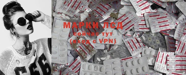 гашик Алексеевка