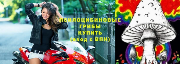 тгк Алексин