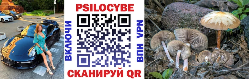 Псилоцибиновые грибы GOLDEN TEACHER  Пикалёво 